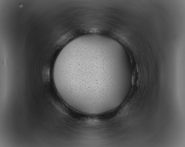 X0000086890262200705071229