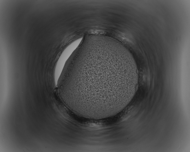 X0000086890263200705071229