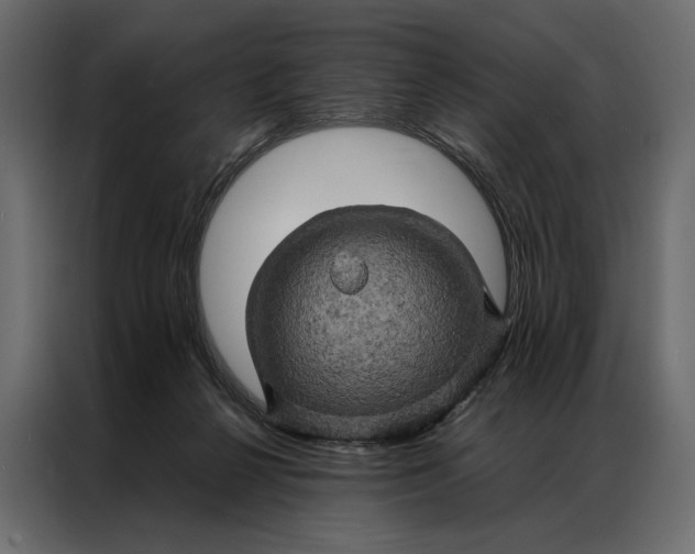 X0000086890264200705071229