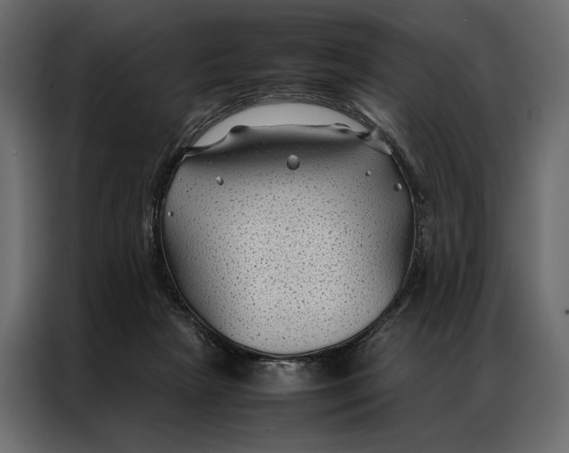 X0000086890265200705071229