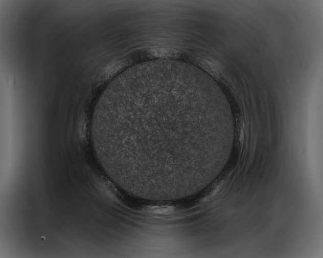 X0000086890266200705071229