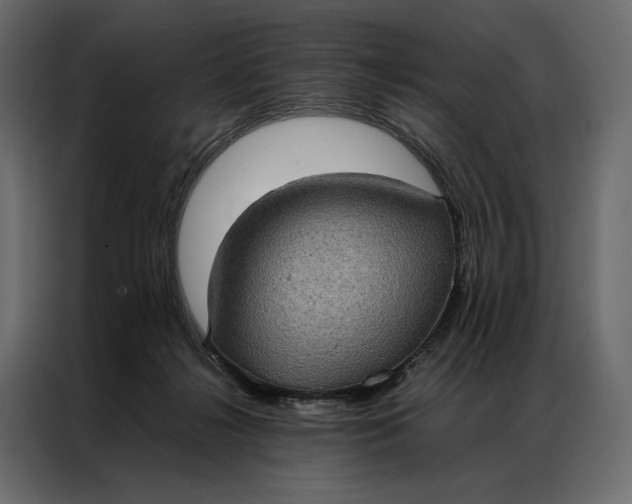 X0000086890268200705071229