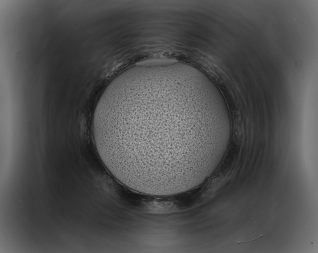 X0000086890270200705071229