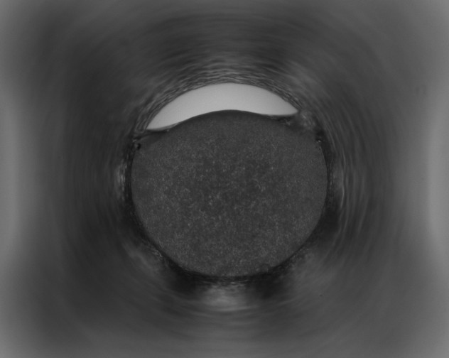 X0000086890271200705071229