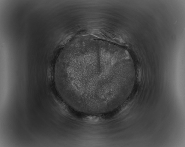 X0000086890272200705071229