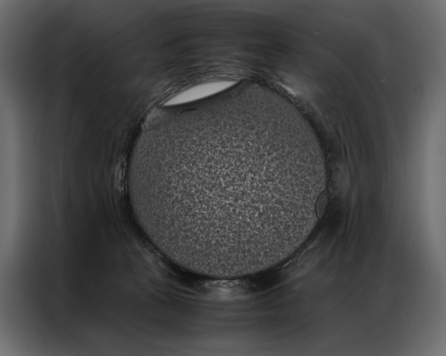 X0000086890273200705071229