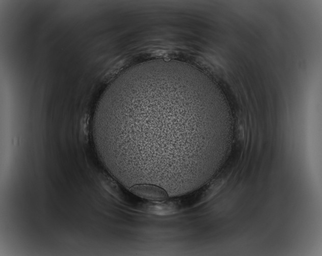 X0000086890275200705071229