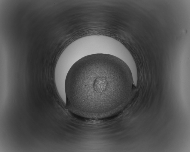 X0000086890276200705071229