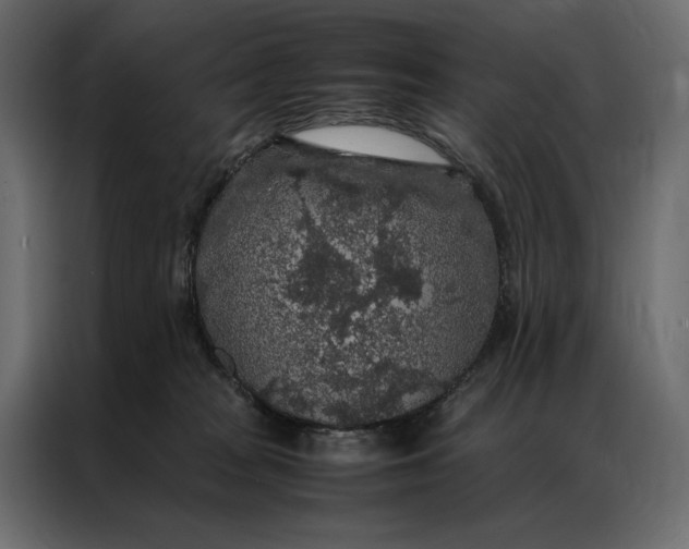 X0000086890277200705071229