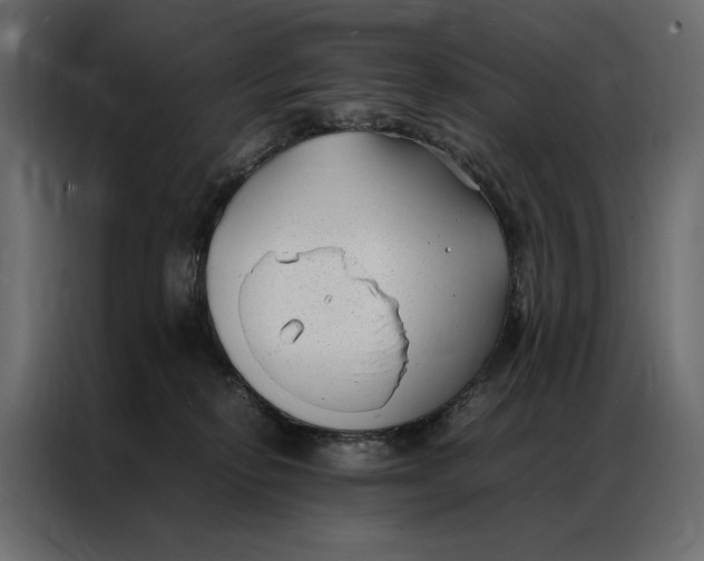 X0000086890278200705071229