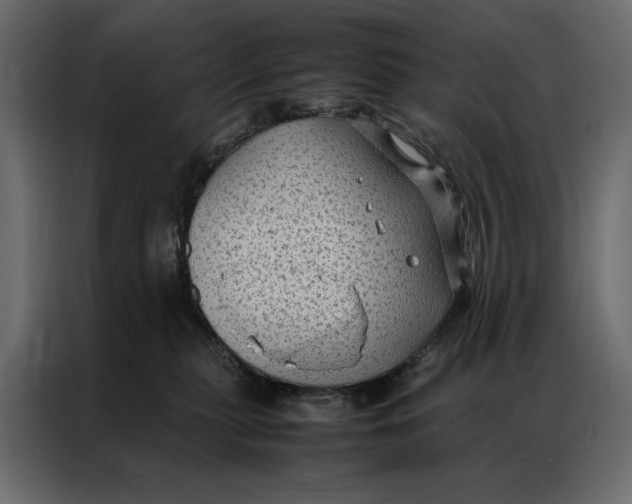 X0000086890279200705071229