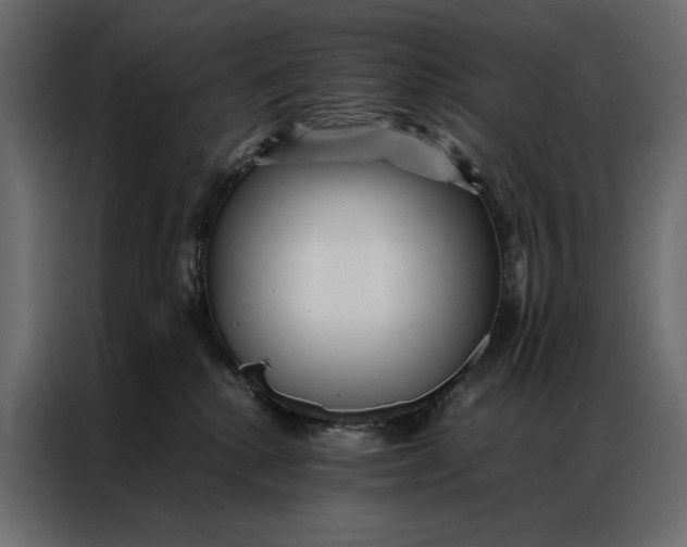 X0000086890280200705071229