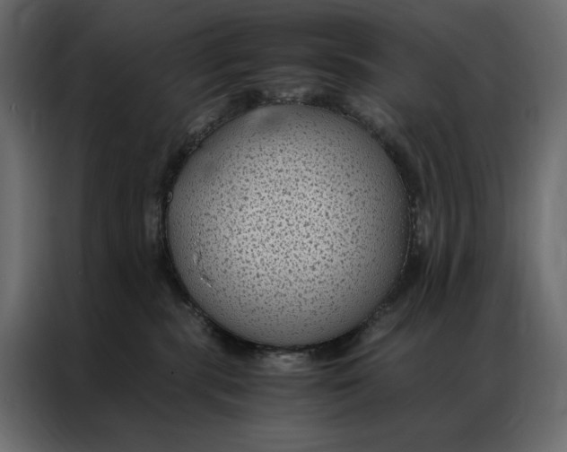 X0000086890283200705071229