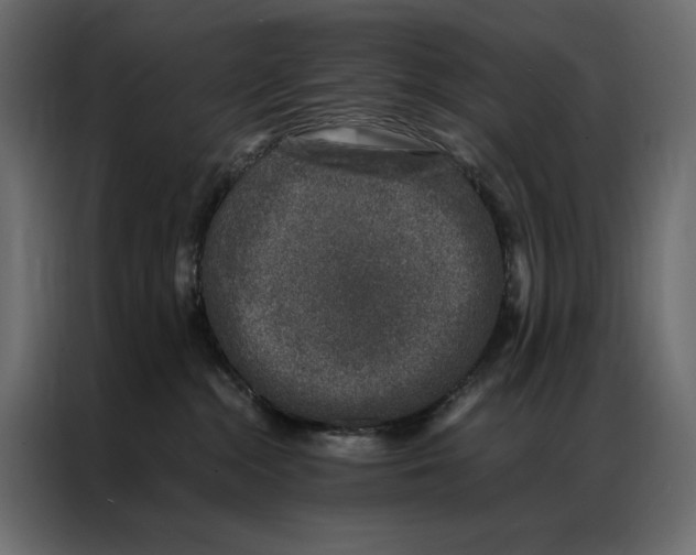 X0000086890284200705071229