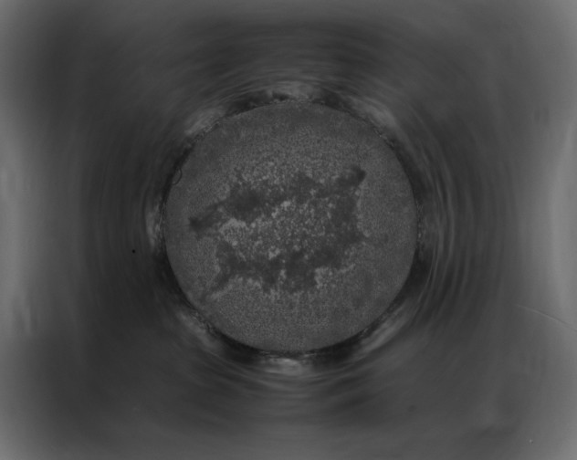 X0000086890285200705071229