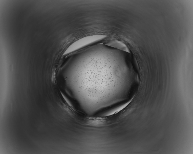 X0000086890288200705071229