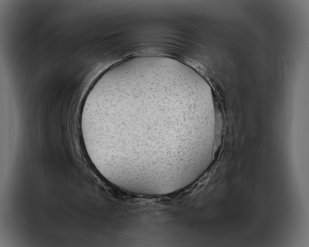 X0000086890289200705071228