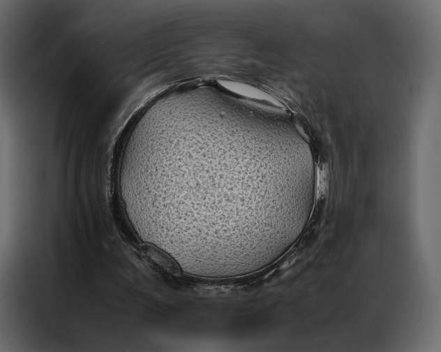 X0000086890291200705071228