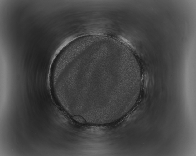 X0000086890292200705071228