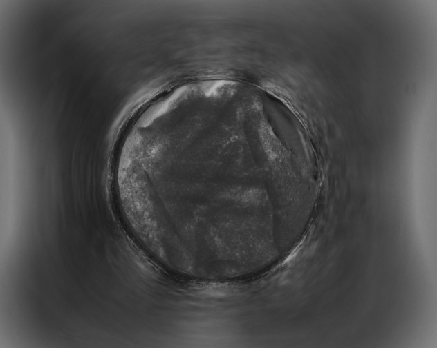 X0000086890293200705071228