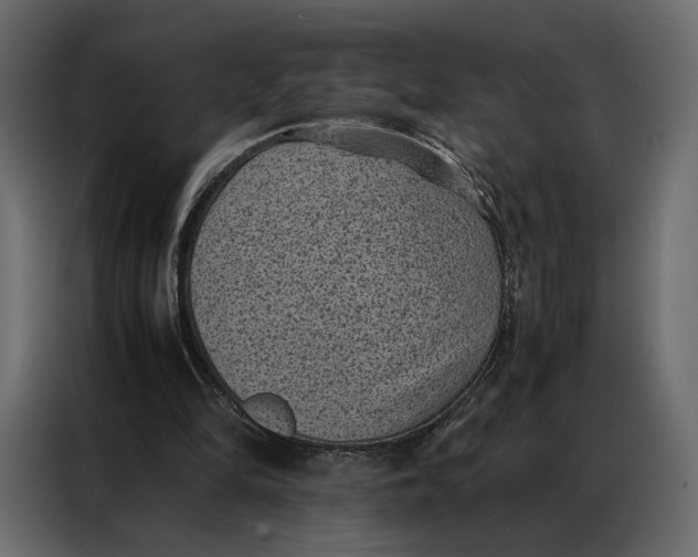 X0000086890294200705071228