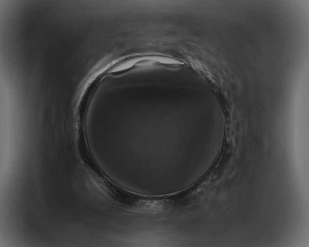 X0000086890295200705071228