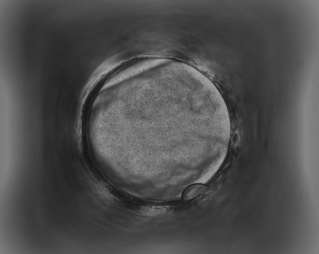 X0000086890296200705071228