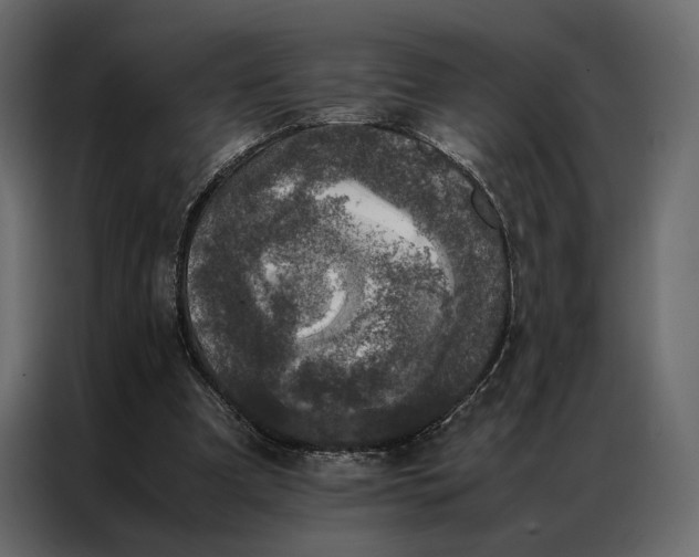 X0000086890297200705071228