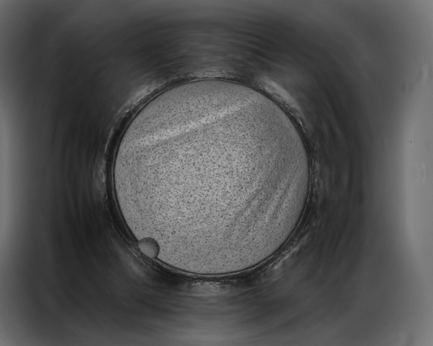 X0000086890298200705071228