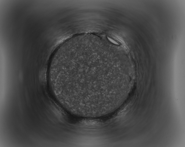 X0000086890299200705071228