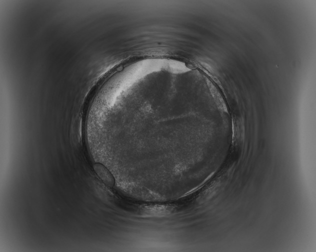 X0000086890301200705071228