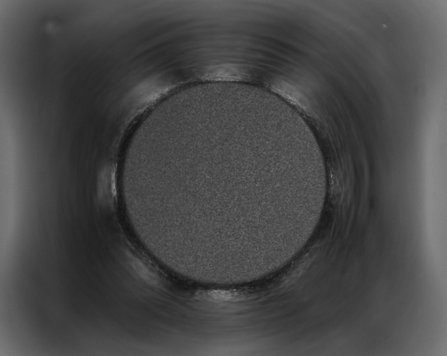 X0000086890302200705071228