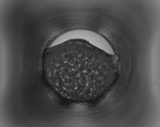 X0000086890303200705071228