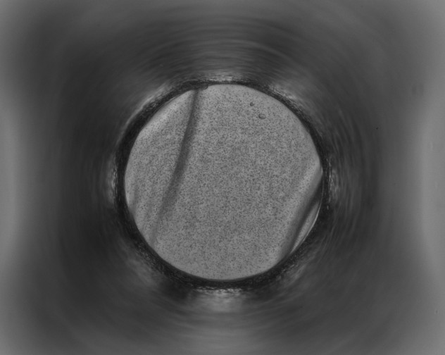 X0000086890304200705071228