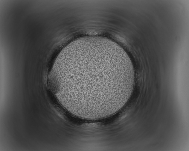 X0000086890307200705071228