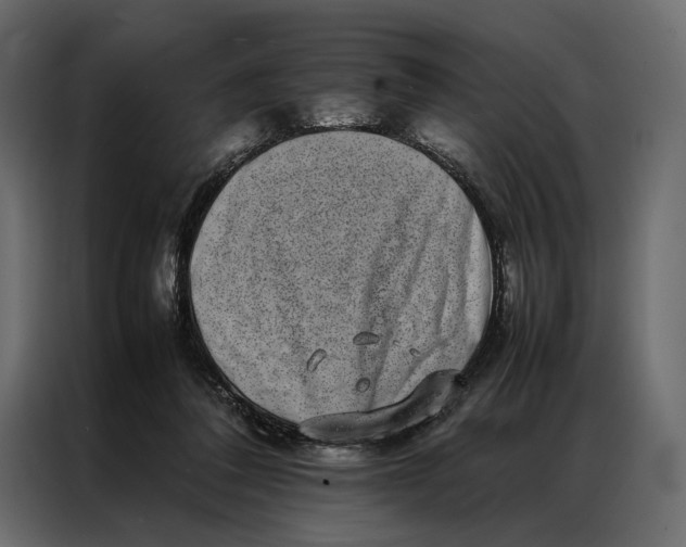 X0000086890308200705071228