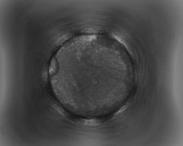 X0000086890309200705071228