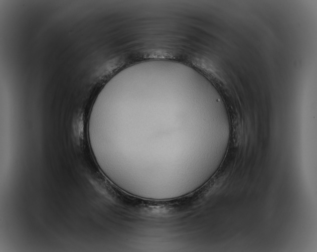 X0000086890310200705071228