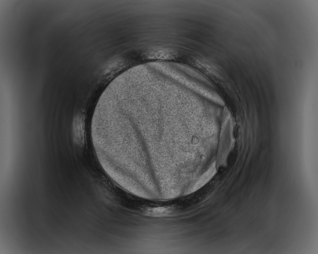 X0000086890312200705071228