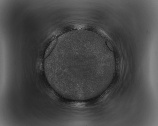 X0000086890313200705071228