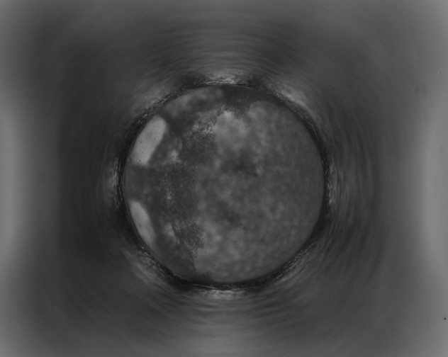 X0000086890314200705071228