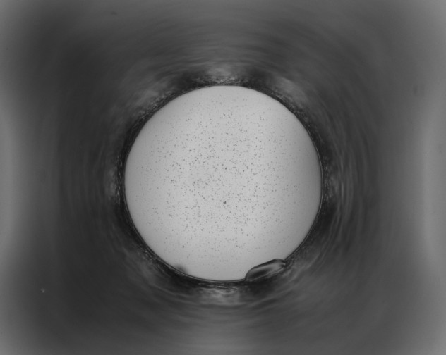 X0000086890317200705071228