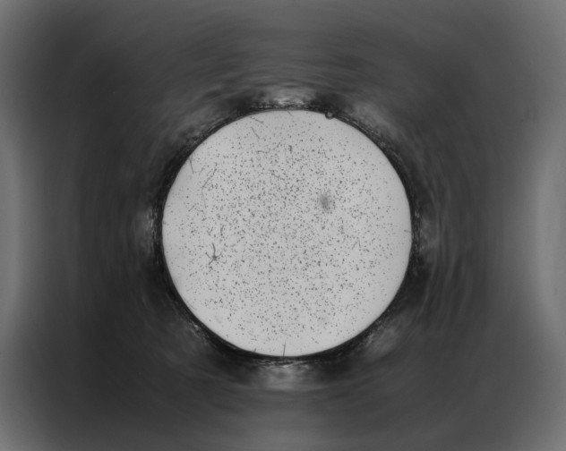 X0000086890321200705071228