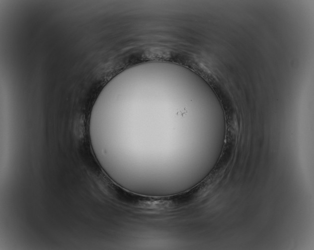 X0000086890323200705071228