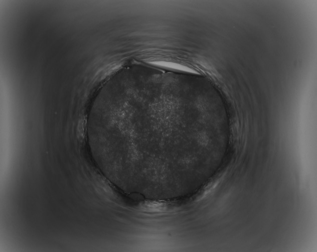 X0000086890325200705071228