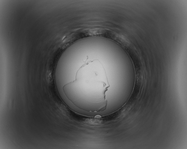 X0000086890327200705071228