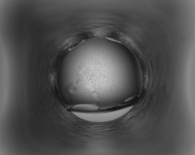 X0000086890329200705071228