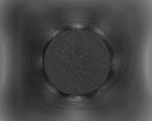 X0000086890330200705071228