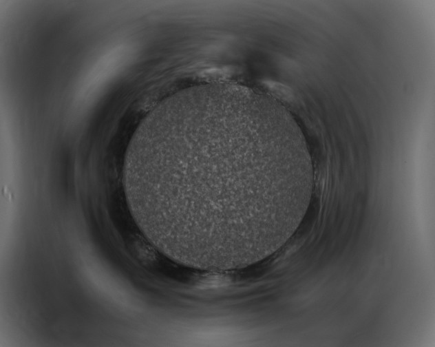 X0000086890335200705071228