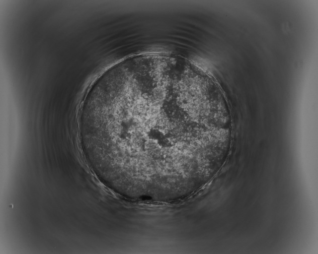 X0000086890337200705071227